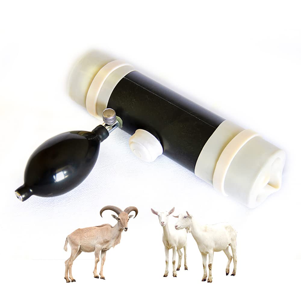 Toplionace Farm Sheep Sperma Sammler Kit, Ziegen Samensammler Widder Knstliche  Befruchtung Schaftwerkzeug Big Dog False Artificial Veterinary : Amazon.de:  Baumarkt