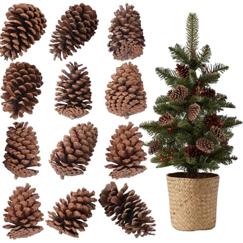 12 PCS Natural Pine Cones, Unscented Brown Pinecones Decor, Assorted