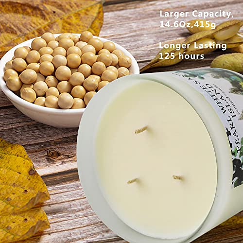 Large Glass Jar Candles For Home, Oriental & Wood Scented Candle For Women Stress Relief, 3 Wicks Candle Made From Soy Wax Gift For Woman, 14.6 Oz Aromatherapy Candle Burns For 75 Hours #TOP1