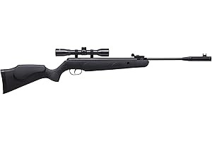 Remington Express Hunter REHNP22SX Silent Impact .22 Caliber Pre-Charged Pneumatic Air Rifle with Silencer