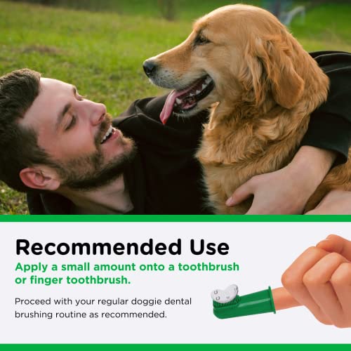 Image of Nutri-Vet Enzymatic Dog Toothpaste, Plaque Remover for Teeth, Dog Breath Freshener, Tooth Whitening, Puppy Essentials, Made in The USA, Non-Foaming Chicken Flavor, 2.5 oz (Pack of 2)