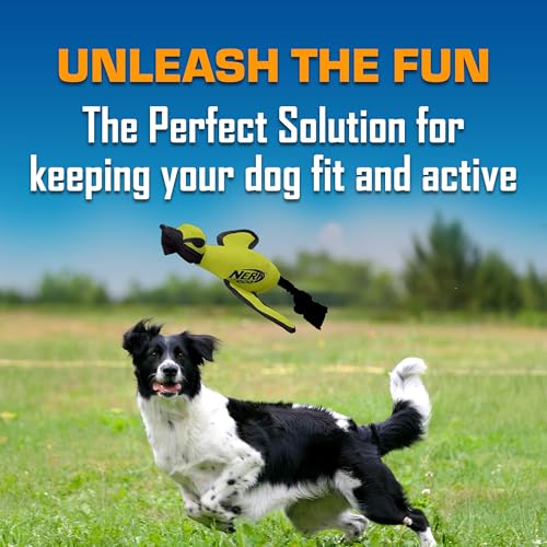 Nerf Dog Große Ente aus Nylon, interaktives Design, Grün