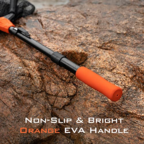 image for KastKing Pontus Fishing Net, Foldable & Lightweight Landing Net with B