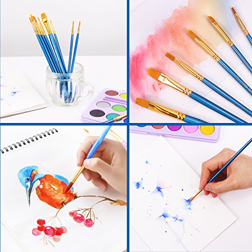 Image of Paint Brush Set, Nylon Hair Brushes for Acrylic Oil Watercolor Painting Artist Professional Painting Kits (8 Packs of 80PCS)