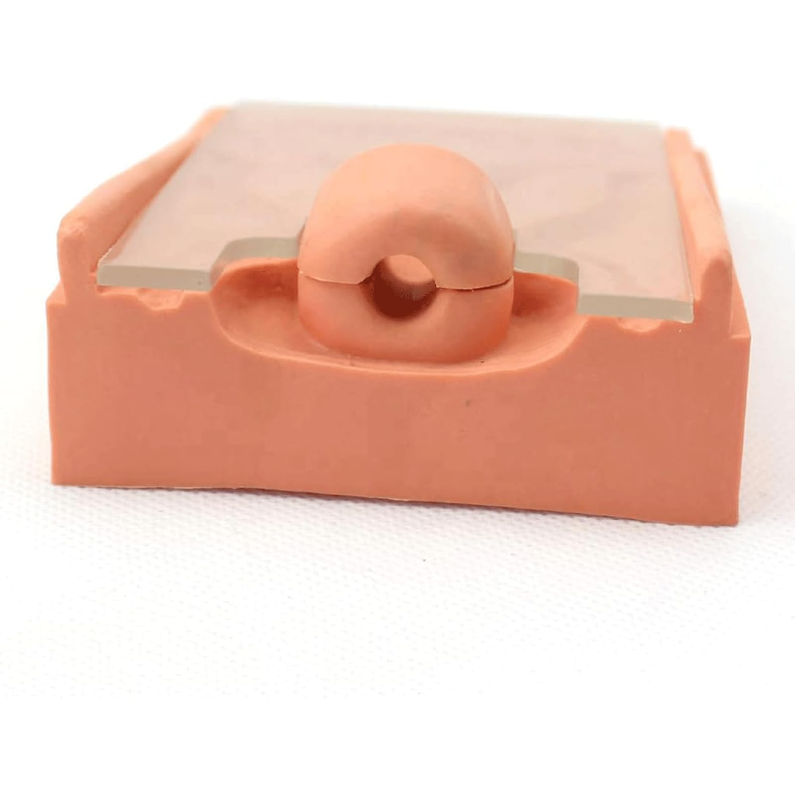 OUFEIJIA Intrauterine Device Model Educational Model, Aid Educational Materials for School,Education Teaching Aids