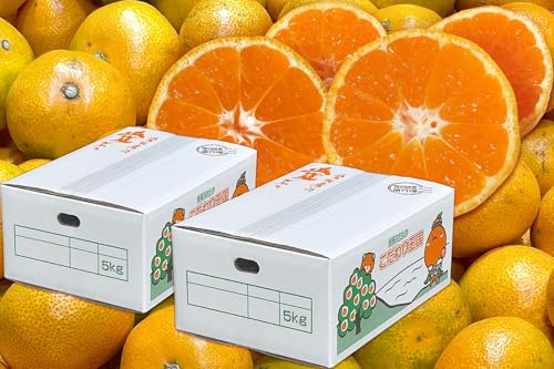 y Q݂ 艤 z 󂠂 Q ݂ TCY 5kg×2Zbg QY ɑ  B  5L×2 (v10kg)