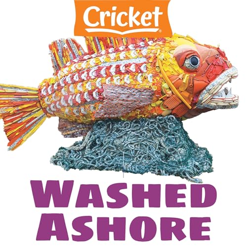 Washed Ashore by Liz Huyck episode artwork