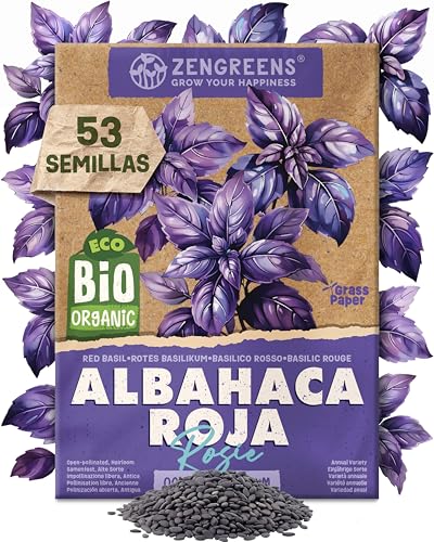 ZenGreens® - Semillas de albahaca (rosie) ecológicas - Semillas de hierbas para cultivar fácilmente en el jardín, balcón o cocina - ideal para principiantes - Basílico