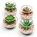 4Pz Artificiali Succulenti, Piante Grasse Finte da Interno, Mini Piante Grasse Finte, ideali per soggiorno, balcone, bagno, decorazione da tavolo, in vaso di vetro