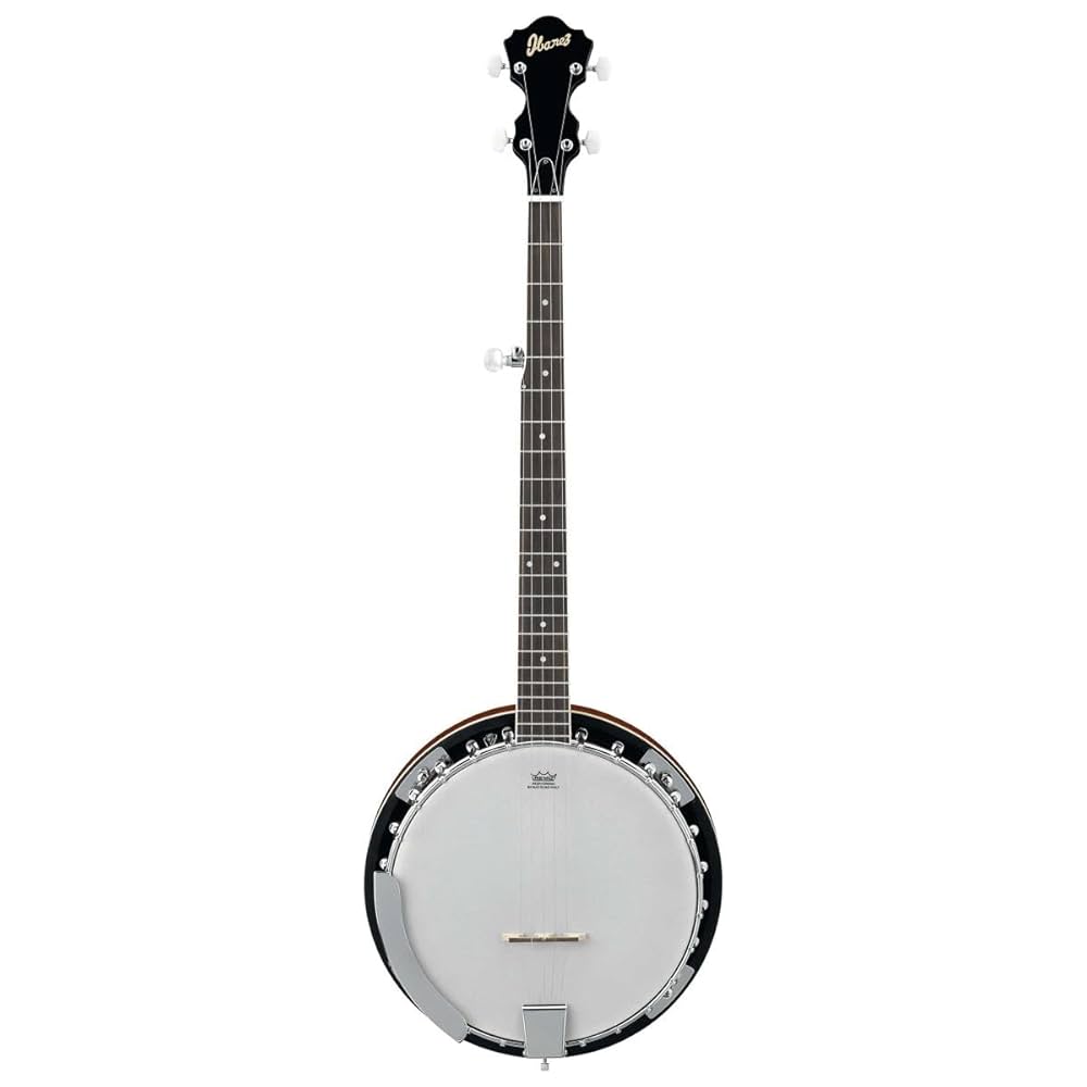 Ibanez Banjo B50 : Amazon.in: Musical Instruments