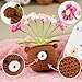 Imagen de LIMIYOYO Regalos Originales para Mujer