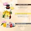 Perfume Versace para Mujer Set de Regalo Variedad 3 Piezas Mini – Yellow Diamond, Crystal Noir, Bright Crystal | Incluye Yellow Diamond, Crystal Noir y Bright Crystal, Tamaño Viaje Muestra de Fragancia de Diseñador, Set de Aromas Miniatura para Ella 4