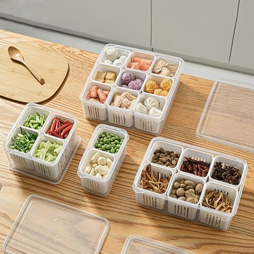 Image of Shuttle Art 9 compartment Ginger And Garlic Storage Box Refrigerator Multi-compartment Double-packed Frozens Draining Water Preparation Box Fruit Garlic Minced Fresh-keeping Box