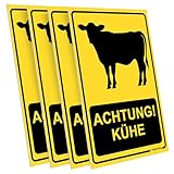 PRINTIMA 4x Schild ACHTUNG! KÜHE 21x32 cm – Warnschilder aus PVC inkl. Schrauben & Dübel – wetterfeste Beschilderung für Weide, Bauernhof & Viehhaltung – langlebig & sichtbar