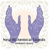 v rod custom harley davidson  Rod V