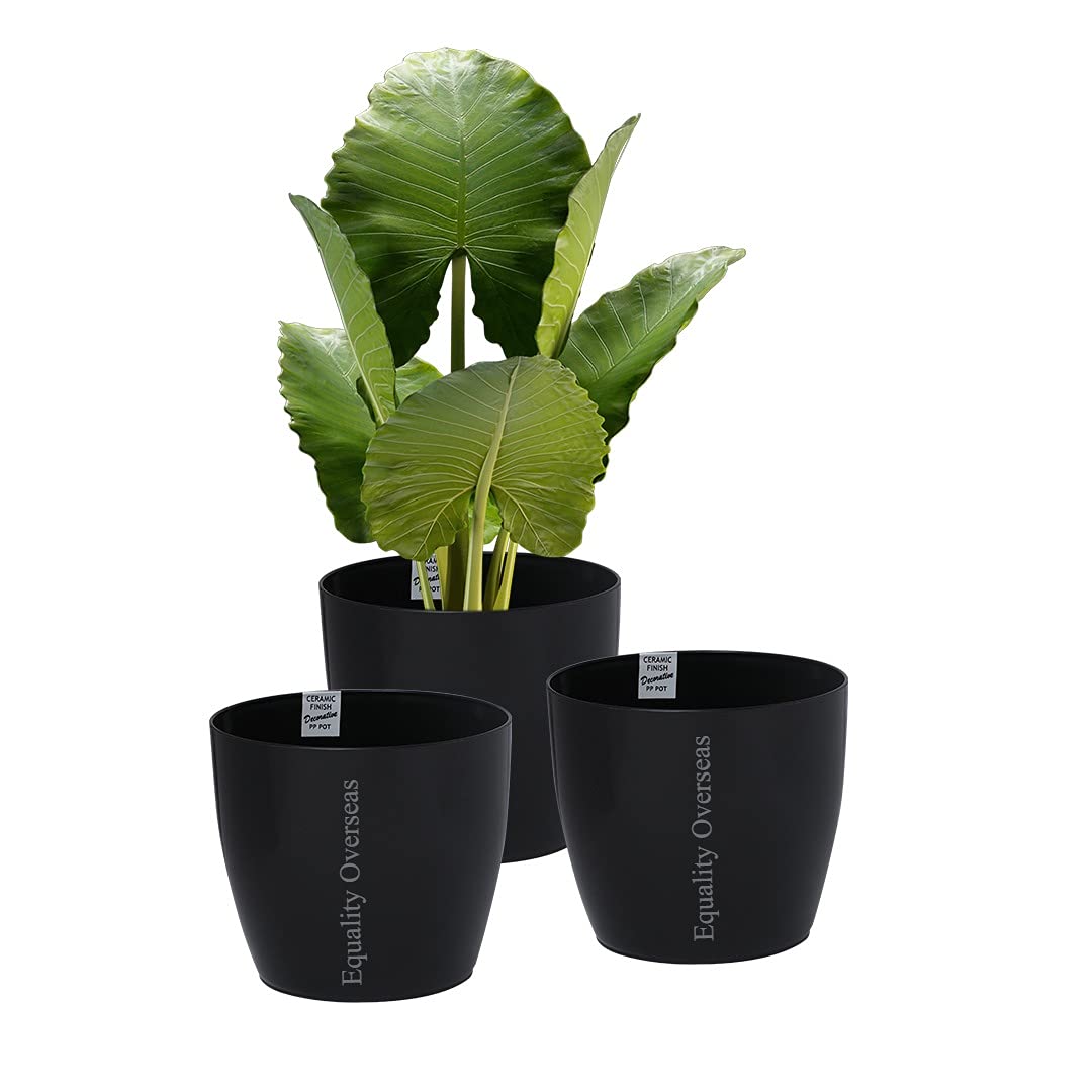 EQUALITY OVERSEAS Ceramic Finish Plastic Planter Gardening Flower Pot 14 Inches (Black Pack of 3) (B09763PKNR) Amazon Price History, Amazon Price Tracker