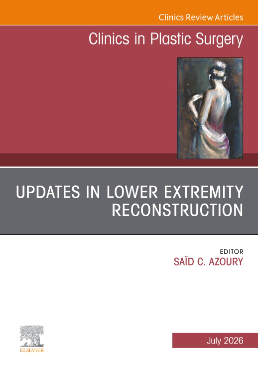 Updates in Lower Extremity Reconstruction, An Issue of Clinics in Plastic Surgery: Volume 53-3 (The Clinics: Surgery, Volume 53-3)