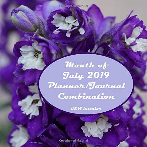 Month of July 2019 Planner/Journal Combination Seventh