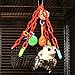 Rockin Maraca Swing & Jazzy Upside Down Swing Toy Bundle for Sugar Gliders