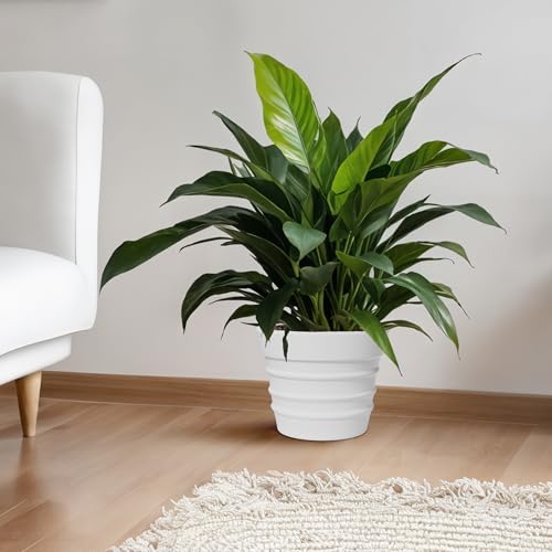 Image of YUCCABE ITALIA Fox B BR 14 Inch White Planter Pot Large Decorative Flower Pot for Home, Balcony & Garden