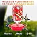 Hummer's Galore Hummingbird Feeders for Outdoors Hanging, Glass, 32 OZ, Vine Design