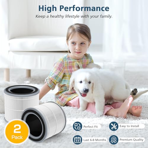Image of 2 Pack Filter Replacement for Hynik Alviera HH001 Air Puri-fier | 3 Stage Air Filter Replacement Filter for Alviera HH001 Air Puri-fier