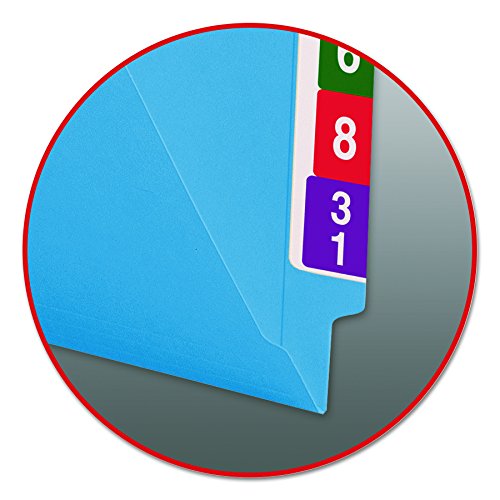 Smead-End-Tab-File-Folder-Shelf-Master-Reinforced-Straight-Cut-Tab-Letter-Size-Blue-100-per-Box-25010