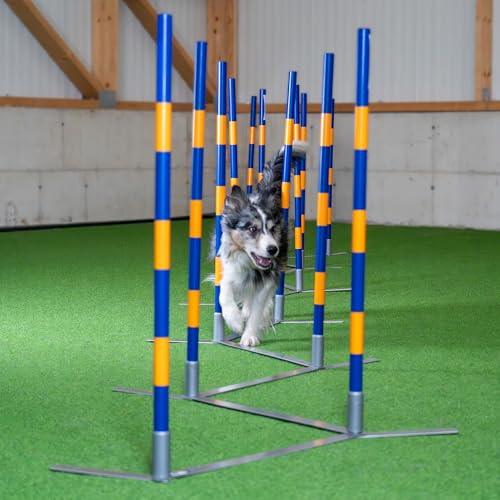 Callieway Orig Agility Slalom, TRICHTERSLALOM®, Gassenslalom, Agility Channel Weaves (FCI konform)