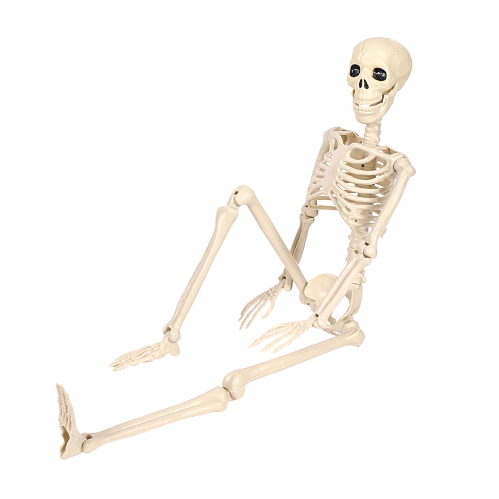 Kalttoy Poseable Full Body Skeleton with Flexible Joints Halloween Themed Garden Decoration Terrifying Haunting House Props Halloween Skeleton