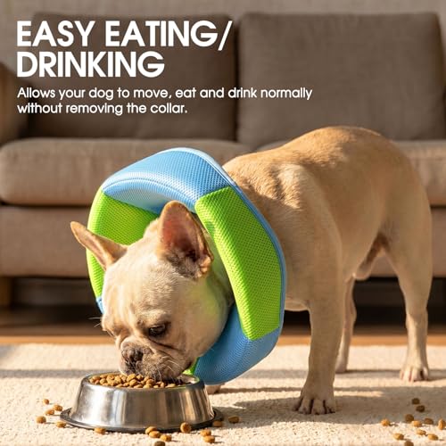 Image of Dog Cone - Soft Cone for Dogs to Stop Licking, Pet E-Collar Alternative After Surgery, Adjustable Pet Recovery Collar for Wound Healing, Light Blue Medium