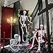 5.9Ft Halloween Skeleton Posable Skeleton Life Size Skeleton Plastic Full Body Human Skeleton for Halloween Decorations
