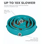 Outward Hound Fun Feeder Slo Bowl, Slow Feeder Dog Bowl, Medium/Mini, Turquoise - Image 5