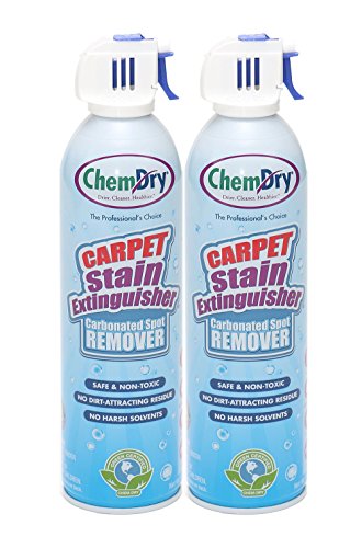 Best Soil Filtration Carpet Cleaner 2021 Where to Buy