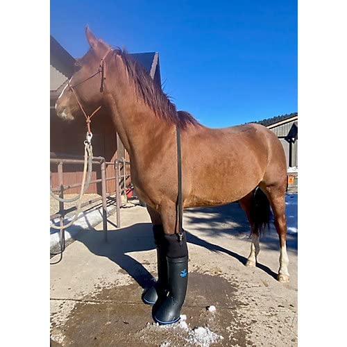 EasyCare Easyboot Ultimate Remedy Therapy Boot