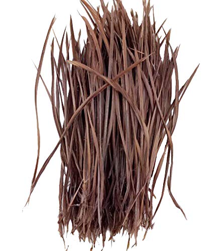 5''-9.5'' Feathers Fly Tying Materials for stonefly Nymph Split Tails& Down Wings 50pcs/Pack (Dark Coffee)