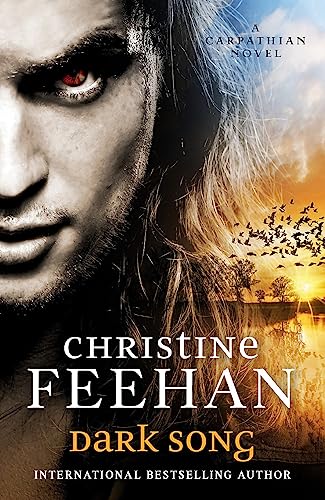 Dark Song (Dark Carpathian, Band 34) 0349426775 Book Cover