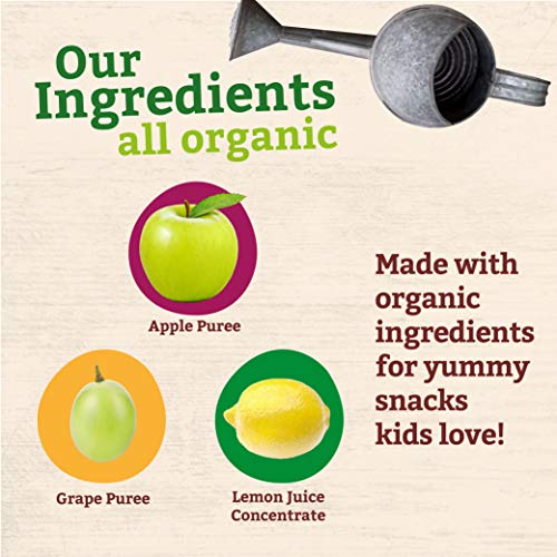 Peter Rabbit Organics, Organic Apple And Grape 100% Pure Fruit Snack, 4 Ounce (Pack Of 10) #TOP5