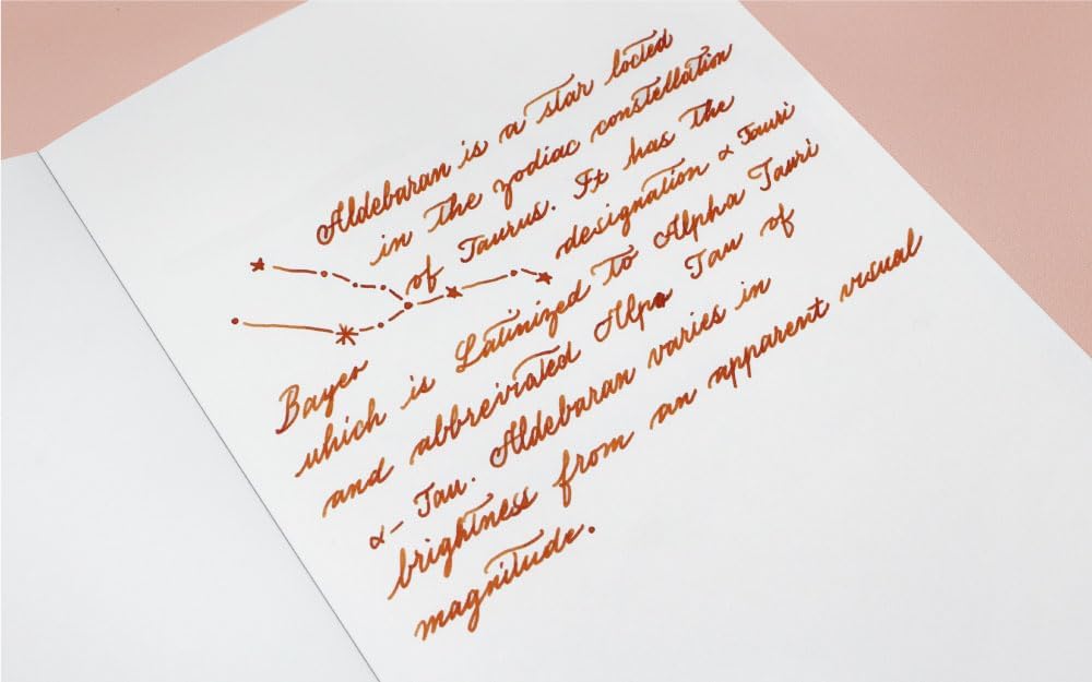Colorverse Orange Fountain Pen Ink Bottle | α Tau | 65ml | Dye-Based | Project Series