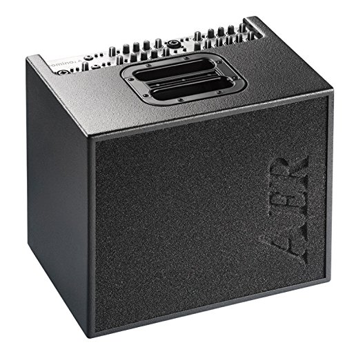 AER Domino 2 Acoustic Amplifier