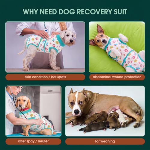 Image of Kuoser Recovery Suit for Dogs After Surgery, Dog Surgical Recovery Suit Female Male Spay Neuter, Anti-Licking Dog Onesie for Abdominal Wounds Skin Disease, Pet Surgery Bodysuit Cone Alternative, XS