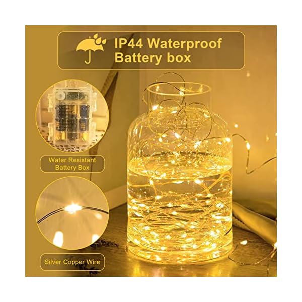 Jmexsuss copper string lights - image 5