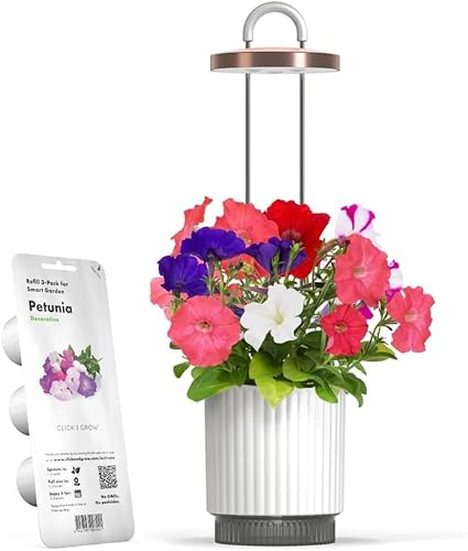 Mini Smart Planter Kit with Petunia Plant Pods by Click&Grow