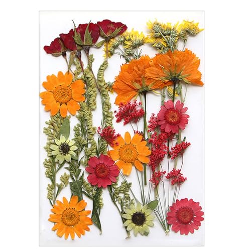 Flores Secas Prensadas Naturales para Resina Epoxi Set miniatura 1