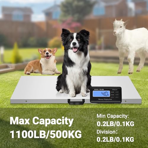 Báscula para perros grandes Juiseaty 1100lb LCD miniatura 5