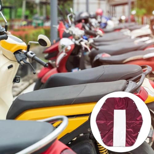 Protector de panel de scooter eléctrico para tus trayectos urbanos 5