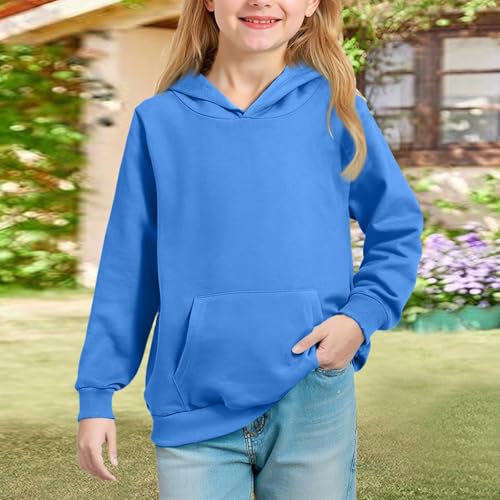 Sweatshirts For Teen Girls Long Sleeve Casual Hoodies 2025 Oversized Hooded Sweatshirts Cute Fall Pullover Top Pockets2