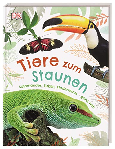 Tiere zum Staunen: Salamander, Tukan, Fledermaus - ganz nah