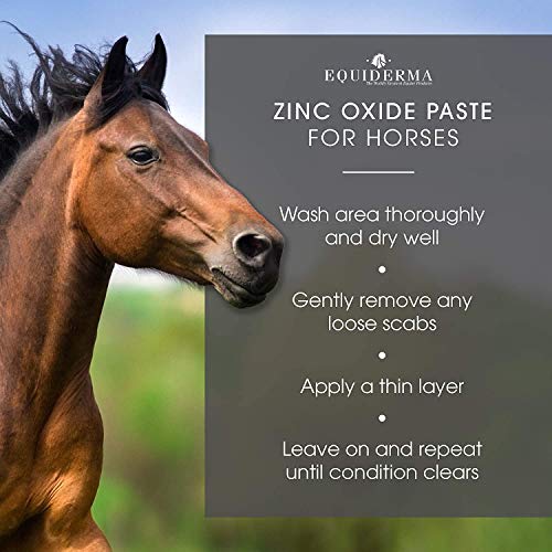 Equiderma (Pacote com 2) pasta de óxido de zinco de 473 ml para dermatite pasterina e queimaduras so