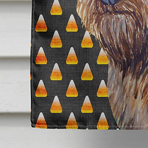 Drapeau Cairn Terrier en toile résistante aux intempéries pour décoration extérieure
