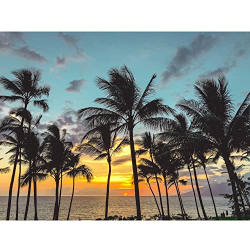 First Impressions Of Pacific Beach cover art